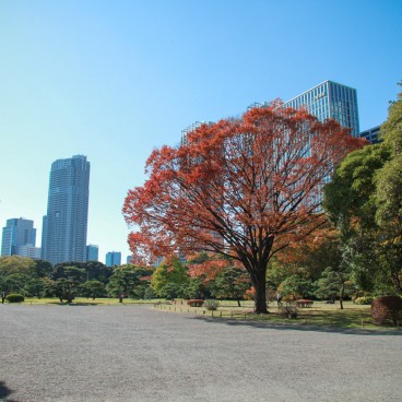 Hamarikyu Garden (Tokyo) in autumn