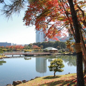 Hamarikyu Garden (Tokyo) in autumn 2
