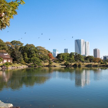 Hamarikyu Garden (Tokyo), Traditional Japanese garden and modern buildings in the background 3
