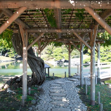 Hamarikyu Garden (Tokyo), Pergola supporting wisteria branches
