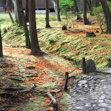 Saiho-ji Koke-dera temple (Kyoto), Moss garden in autumn