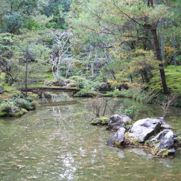 Saiho-ji Koke-dera temple (Kyoto), Moss garden in autumn 4