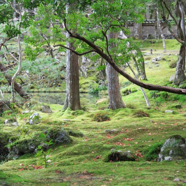 Saiho-ji Koke-dera temple (Kyoto)