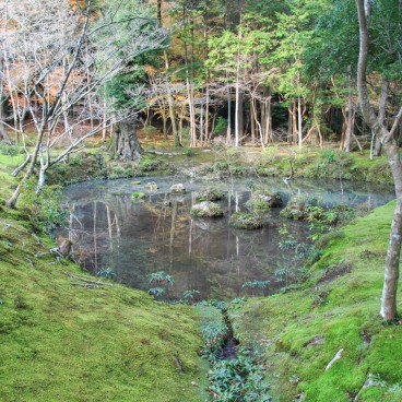 Saiho-ji Koke-dera temple (Kyoto), Pond in the moss garden