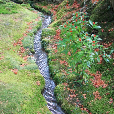 Saiho-ji Koke-dera temple (Kyoto), Stream of water in the moss garden