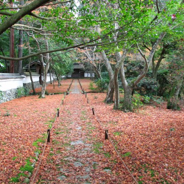 Saiho-ji Koke-dera temple (Kyoto), Moss garden in autumn 9
