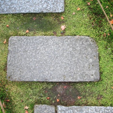 Saiho-ji Koke-dera temple (Kyoto), Stone steps in the moss garden