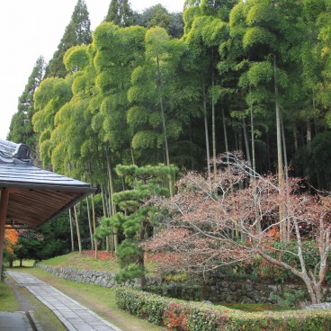 Saiho-ji Koke-dera temple (Kyoto), Moss garden in autumn 10