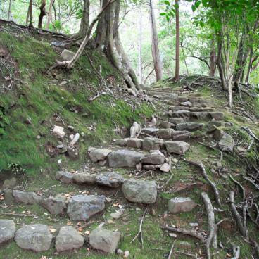 Saiho-ji Koke-dera temple (Kyoto), Stone stairway in the garden