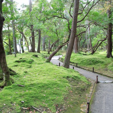 Moss Temple (Saiho-ji, Kyoto), Kokedera moss garden