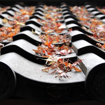 Saiho-ji Koke-dera temple (Kyoto), Momiji on a roof