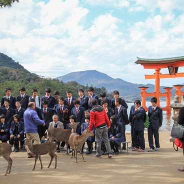 Itsukushima-jinja (Miyajima), Group taking picture with the floating torii as background