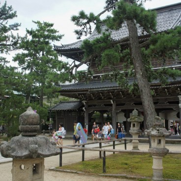 Amanohashidate, Chion-ji temple in summer