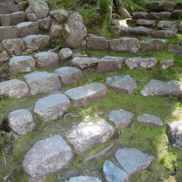 Kamigamo-jinja (Kyoto), Stone stairway covered in moss