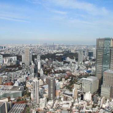 Mori Tower (Roppongi Hills), View on Tokyo