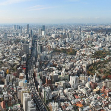 Mori Tower (Roppongi Hills), View on Aoyama Cemetery on the right