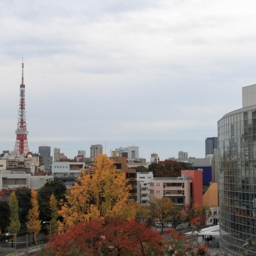 Mori Tower (Roppongi Hills), View on Mori Garden and Tokyo Tower in autumn
