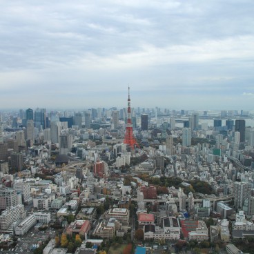 Tokyo City View