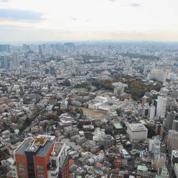 Mori Tower (Roppongi Hills), View on Roppongi