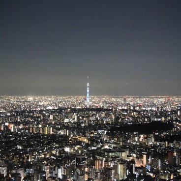 Sunshine 60 Observatory (Ikebukuro), Night view on the Tokyo SkyTree