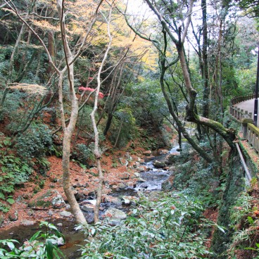 Minoh Park (Osaka), River along the walking path in autumn