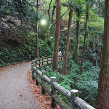 Minoh Park (Osaka), Walking path in autumn 2