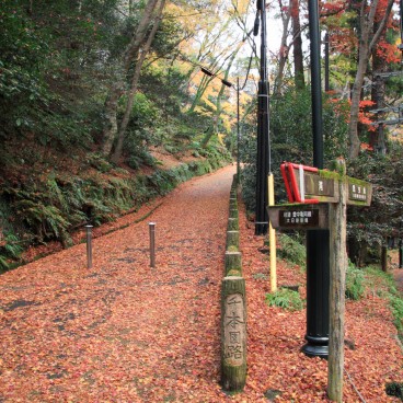 Minoh Park (Osaka), Walking path covered in red momiji leaves in autumn
