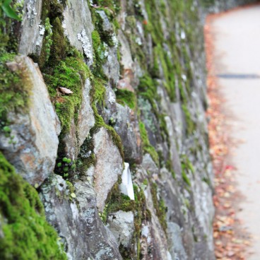 Minoh Park (Osaka), Detail of the stone walls on the side of the path