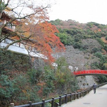 Minoh Park (Osaka), Walking path and red bridge in autumn