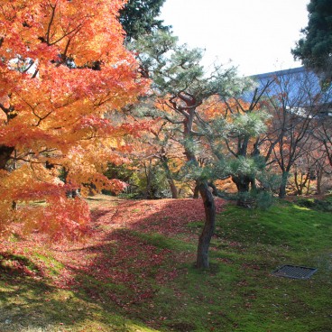Tofuku-ji (Kyoto), Temple's grounds in autumn