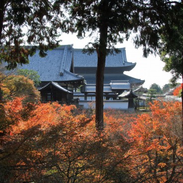 Tofuku-ji (Kyoto), View on the temple in autumn