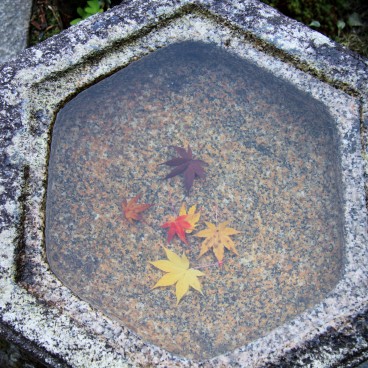 Tofuku-ji (Kyoto), Colored maple tree leaves in the water
