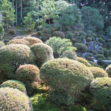 Tofuku-ji (Kyoto), Shrubbery in the garden