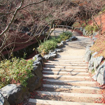 Tofuku-ji (Kyoto), Stairway in the temple's grounds in autumn
