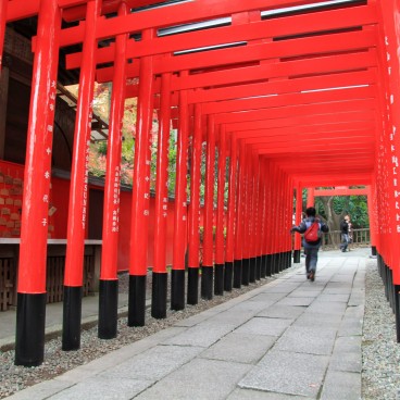 Inuyama Castle (Aichi Prefecture), Torii gates corridor