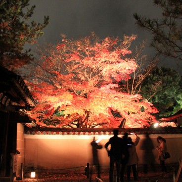 Kodai-ji (Kyoto), Momiji light-up in autumn 3