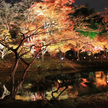 Kodai-ji (Kyoto), Momiji light-up in autumn 5