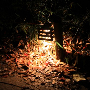 Rikugi-en (Tokyo), Light-up of the garden in autumn