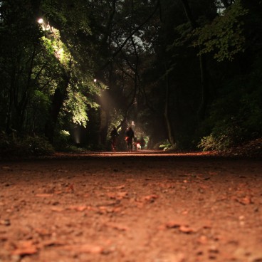 Rikugi-en (Tokyo), Night view of the walking path
