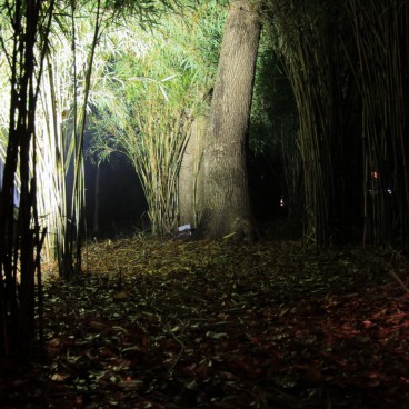 Rikugi-en (Tokyo), Night view of the walking path with bamboos