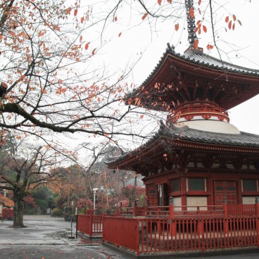 Kawagoe (Saitama), Tahoto pagoga in Kita-in temple