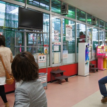 batting-center-tokyo-1