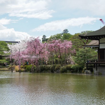 Heian-jingu (Kyoto), View on the garden and the shrine's pavilions in spring 2