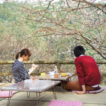 Yoshinoyama, People enjoying Ohanami under the cherry trees in spring 3