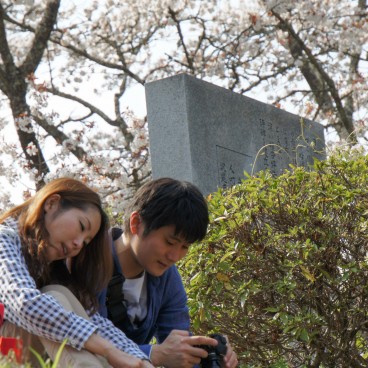 Yoshinoyama, A couple enjoying Ohanami under the cherry trees in spring