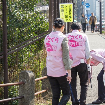 Chidorigafuchi in Tokyo, Volunteers collecting garbages