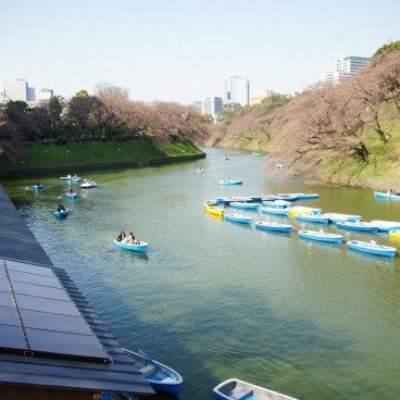 Chidorigafuchi in Tokyo, People boating on the moats in spring