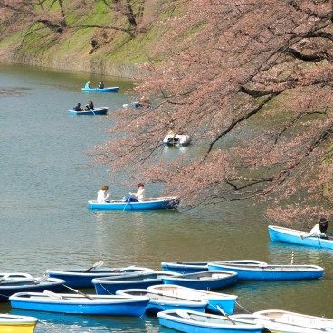 Chidorigafuchi in Tokyo, People boating on the moats in spring 2