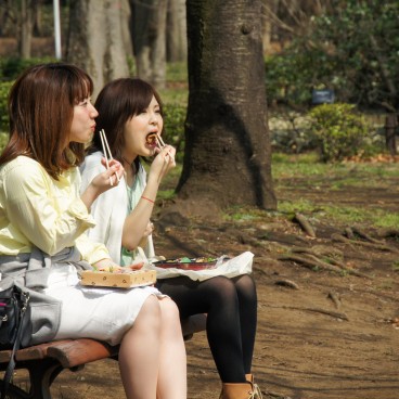 Chidorigafuchi in Tokyo, Women enjoying a bento