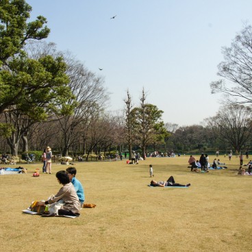Chidorigafuchi in Tokyo, Lawns 